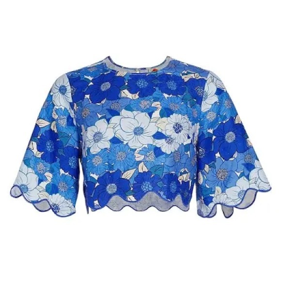 NWT- Farm Rio Blue Floral Crop Top - Picture 2 of 5